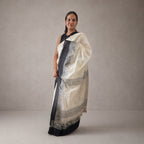 Ivory & Black Handloom Cotton Saree